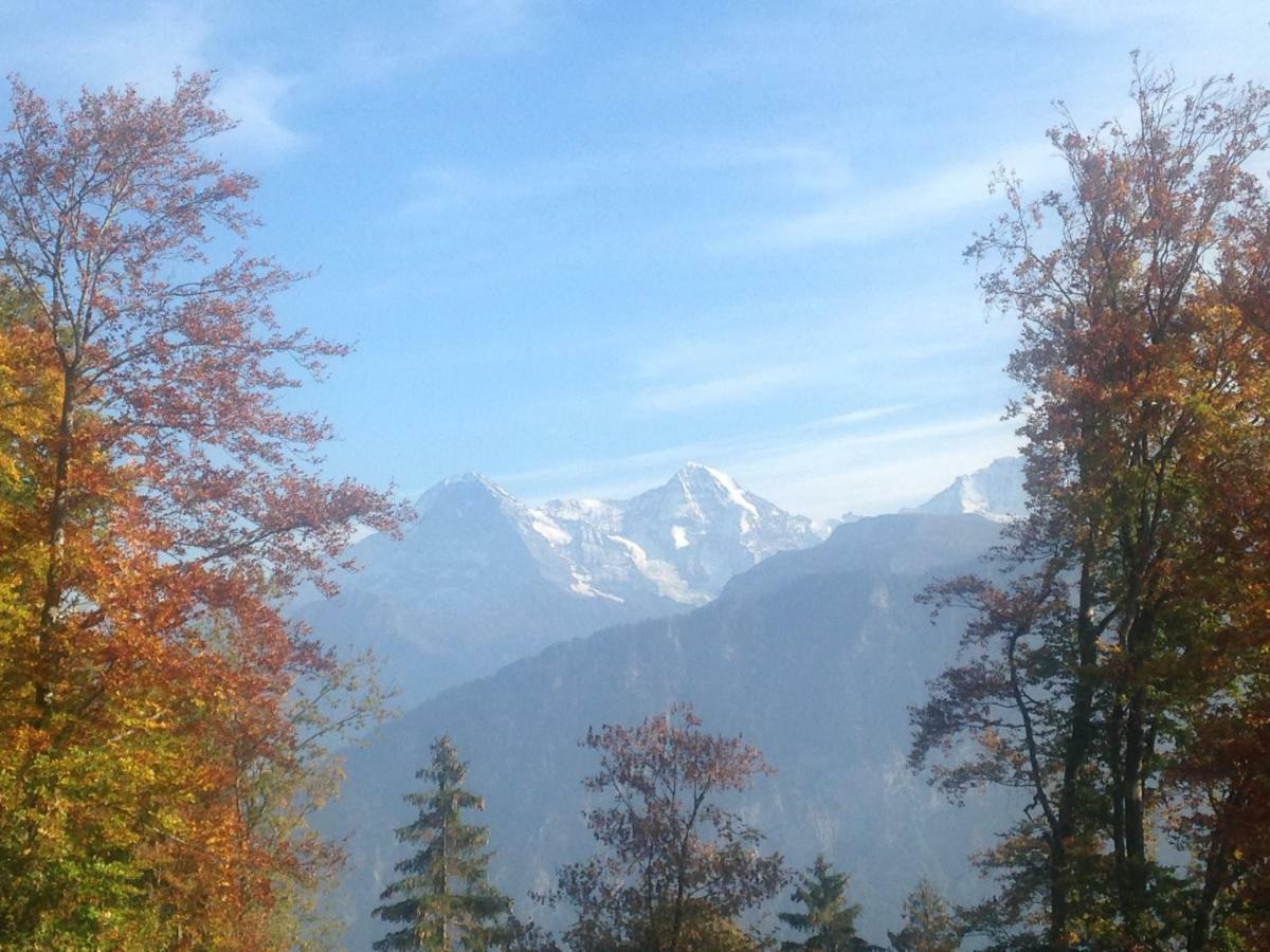 App. Seeblick Top Of Interlaken Beatenberg Bagian luar foto