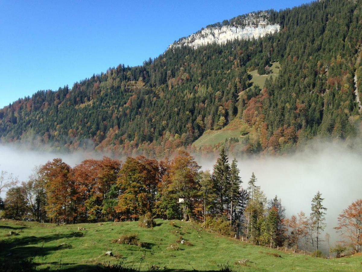 App. Seeblick Top Of Interlaken Beatenberg Bagian luar foto