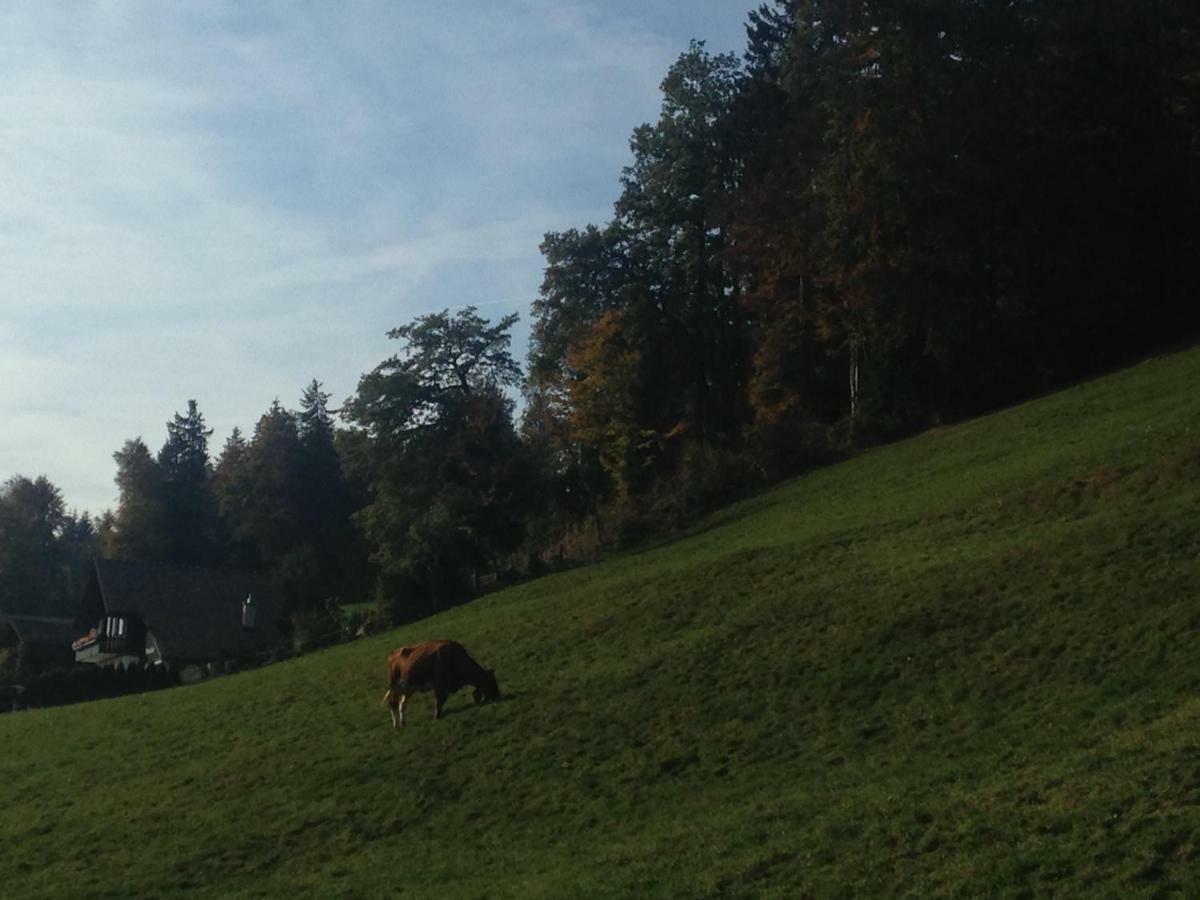 App. Seeblick Top Of Interlaken Beatenberg Bagian luar foto